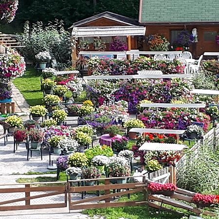Appartement Planaiblick Schladming Dış mekan fotoğraf