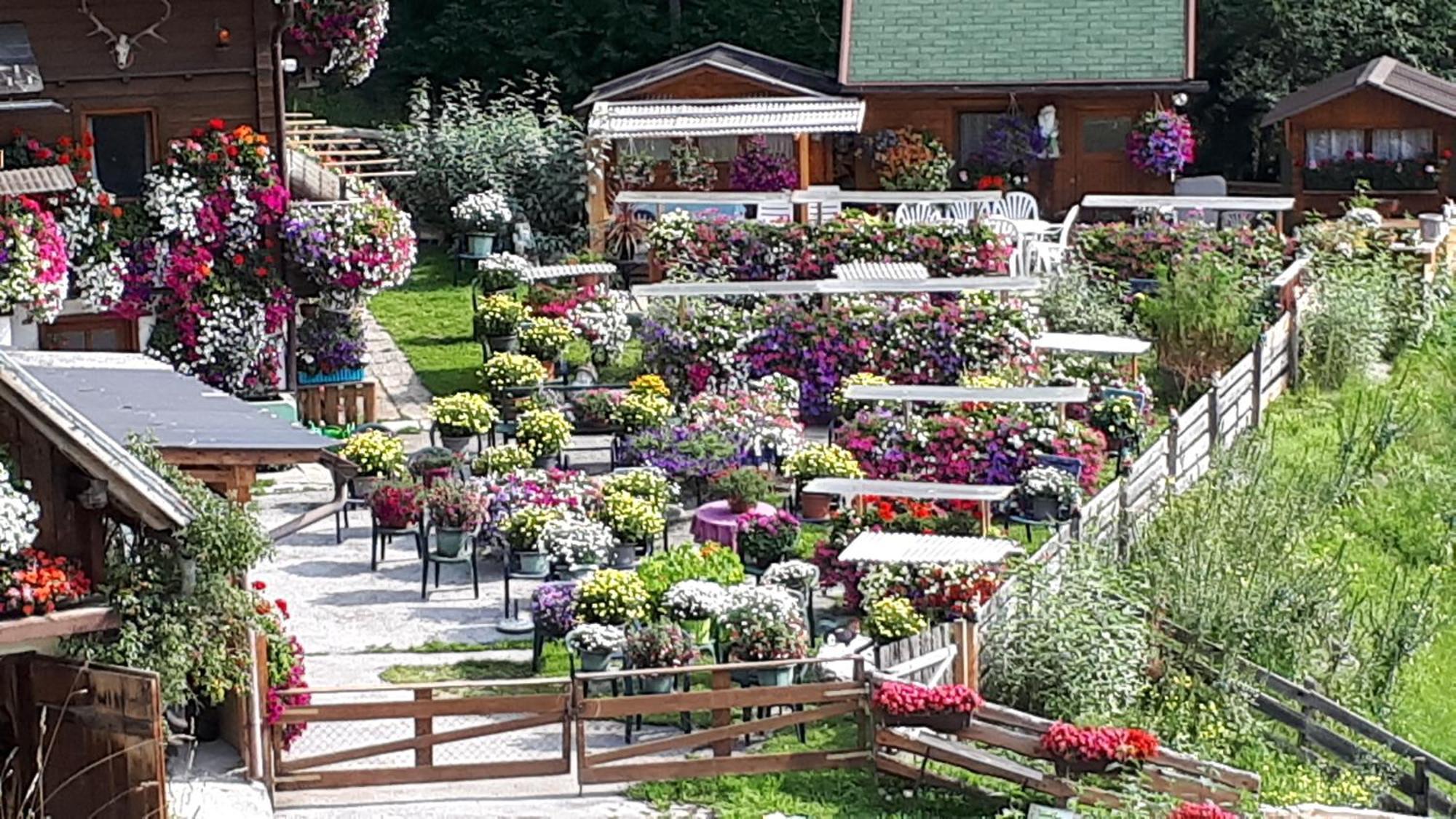 Appartement Planaiblick Schladming Dış mekan fotoğraf